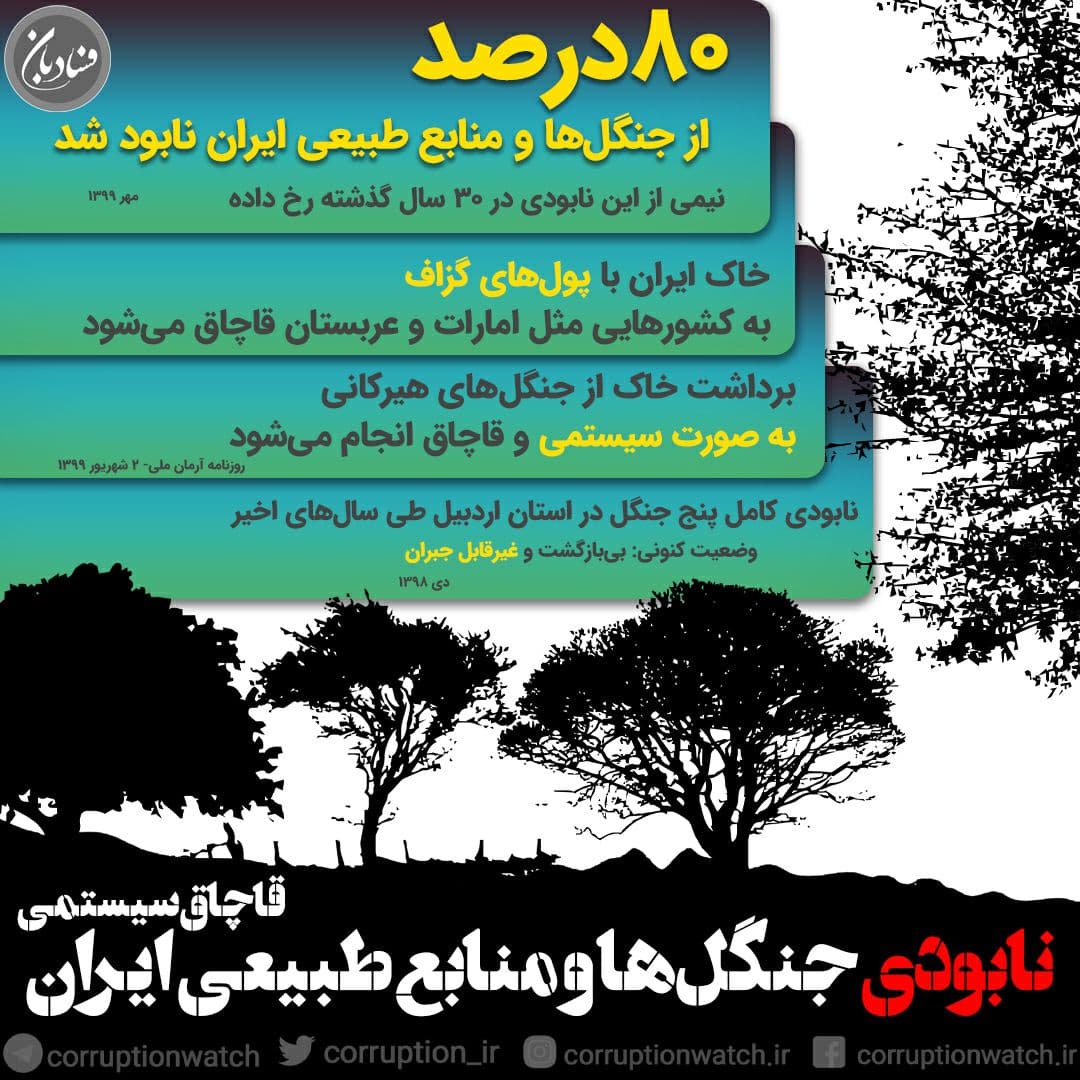 نابودی جنگل‌ها و منابع طبیعی ایران؛ قاچاق سیستمی