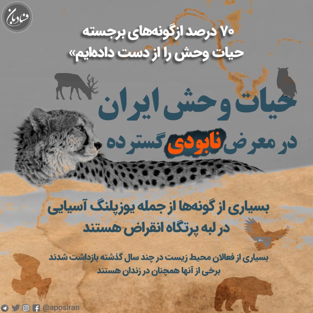 حیات‌وحش ایران در معرض نابودی گسترده