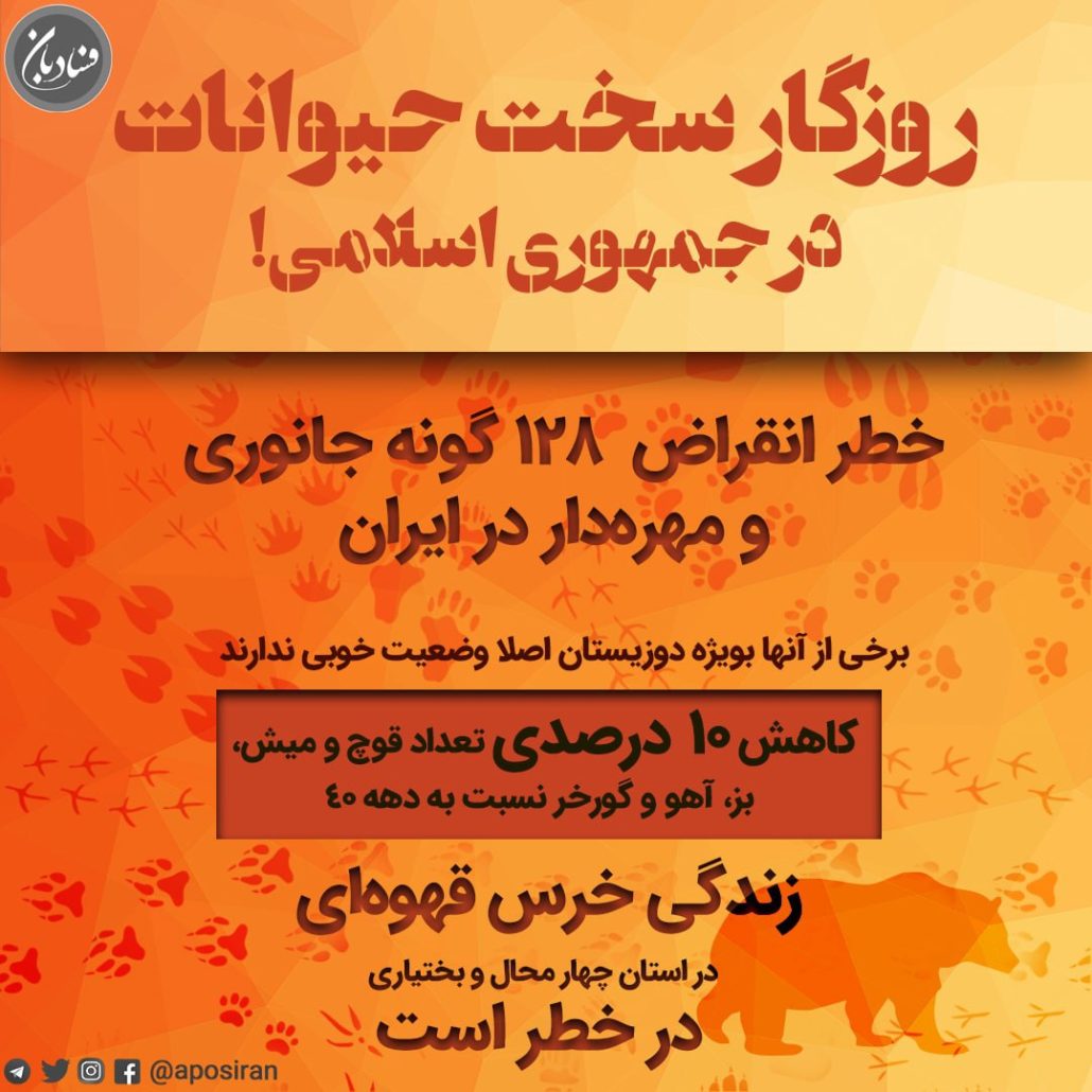 روزگار سخت حیوانات در جمهوری اسلامی!