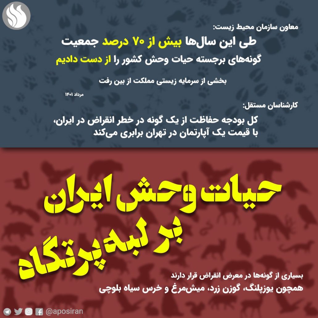 حیات وحش ایران بر لبه پرتگاه!