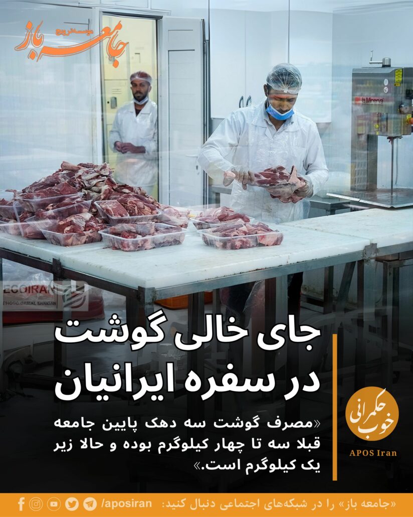 سقوط چشم‌گیر سهم گوشت در سبد هزینه خانوارهای ایران، حاکی از وخامت اوضاع اقتصادی و کاهش قدرت خرید مردم است.