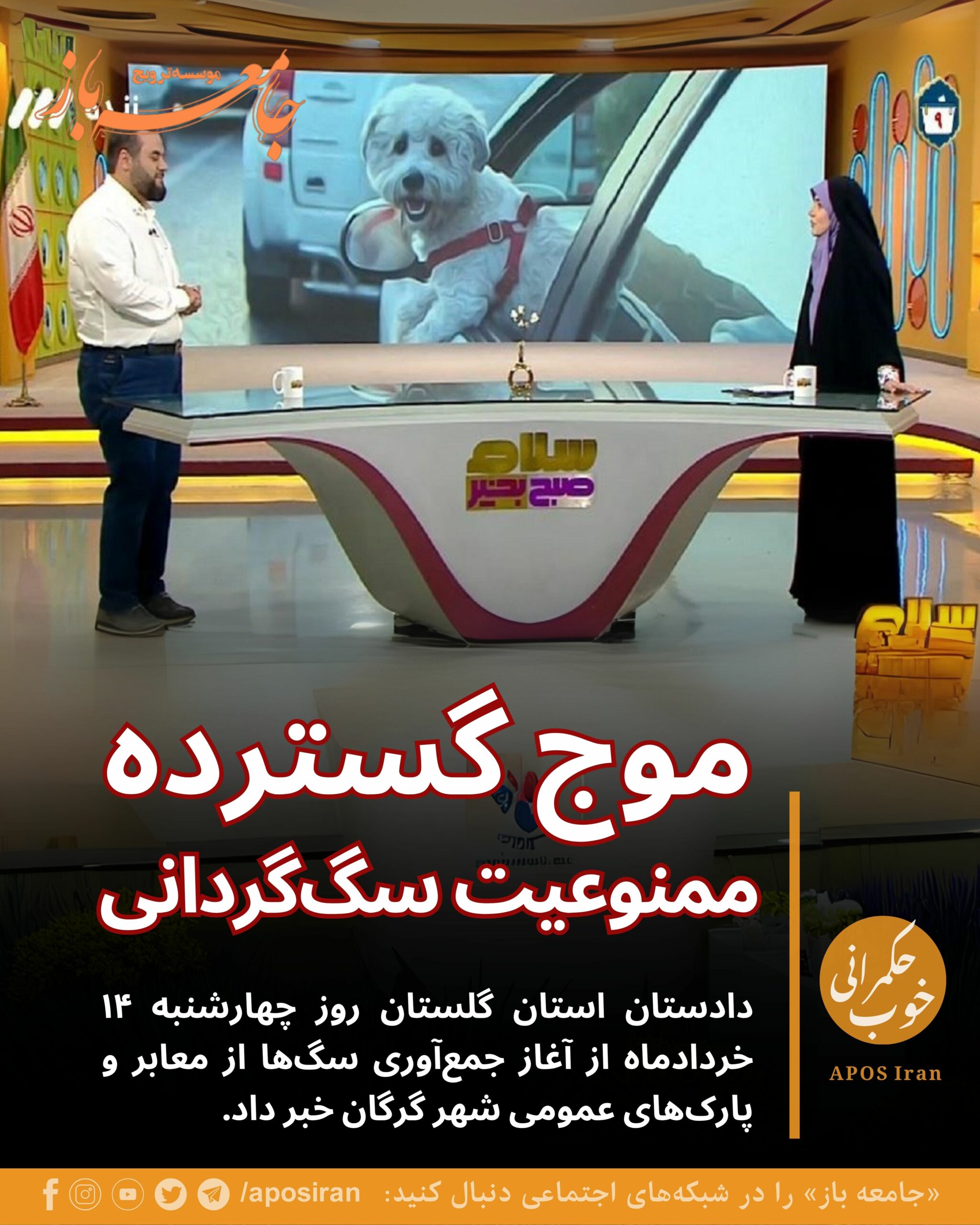 «نصب تابلوهای ممنوعیت سگ‌گردانی و جلوگیری از ورود حیوانات به ناوگان حمل‌ونقل از وظایفی است که به شهرداری و نهادهای اجرایی ابلاغ شده است.»
