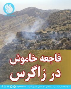 جنگل‌های بلوط زاگرس، یکی از مهم‌ترین زیست‌بوم‌های ایران، در دهه‌های اخیر با روندی نگران‌کننده در حال نابودی‌اند.