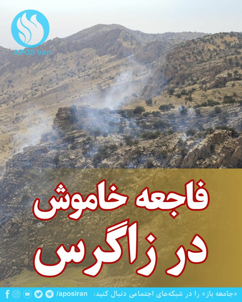 جنگل‌های بلوط زاگرس، یکی از مهم‌ترین زیست‌بوم‌های ایران، در دهه‌های اخیر با روندی نگران‌کننده در حال نابودی‌اند.